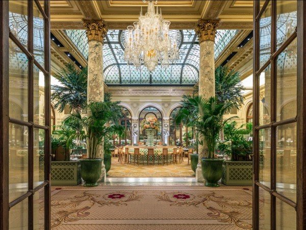The Palm Court